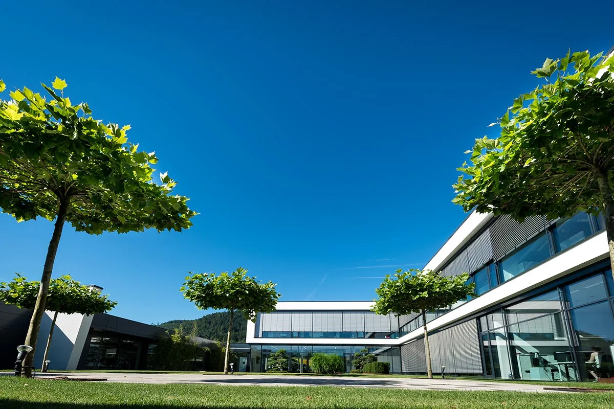 Firmengarten in Kleinheubach mit Bäumen unter blauem Himmel
