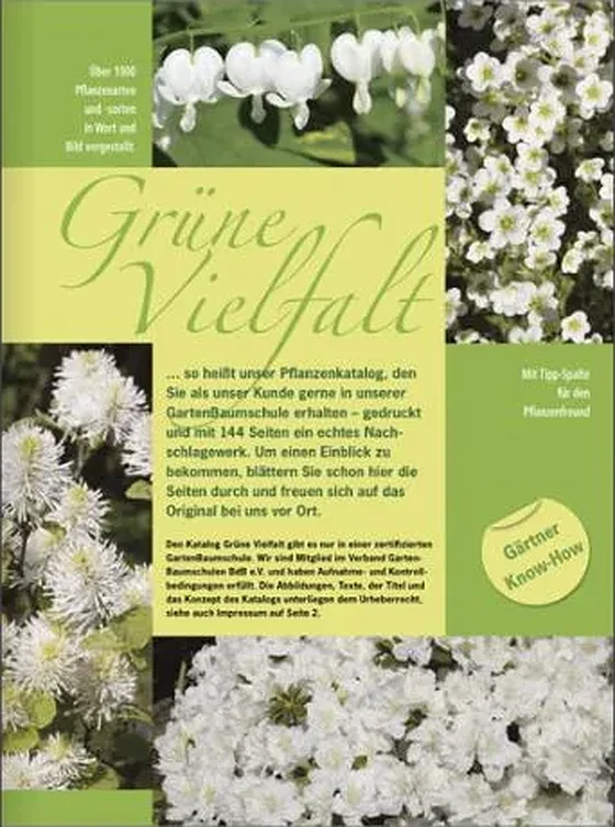Titelseite des Pflanzenkatalogs Grüne Vielfalt