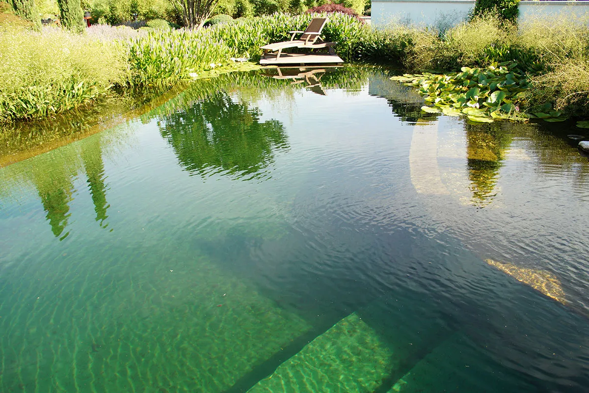 Schwimmteich der Musteranlage mit Wasserpflanzen