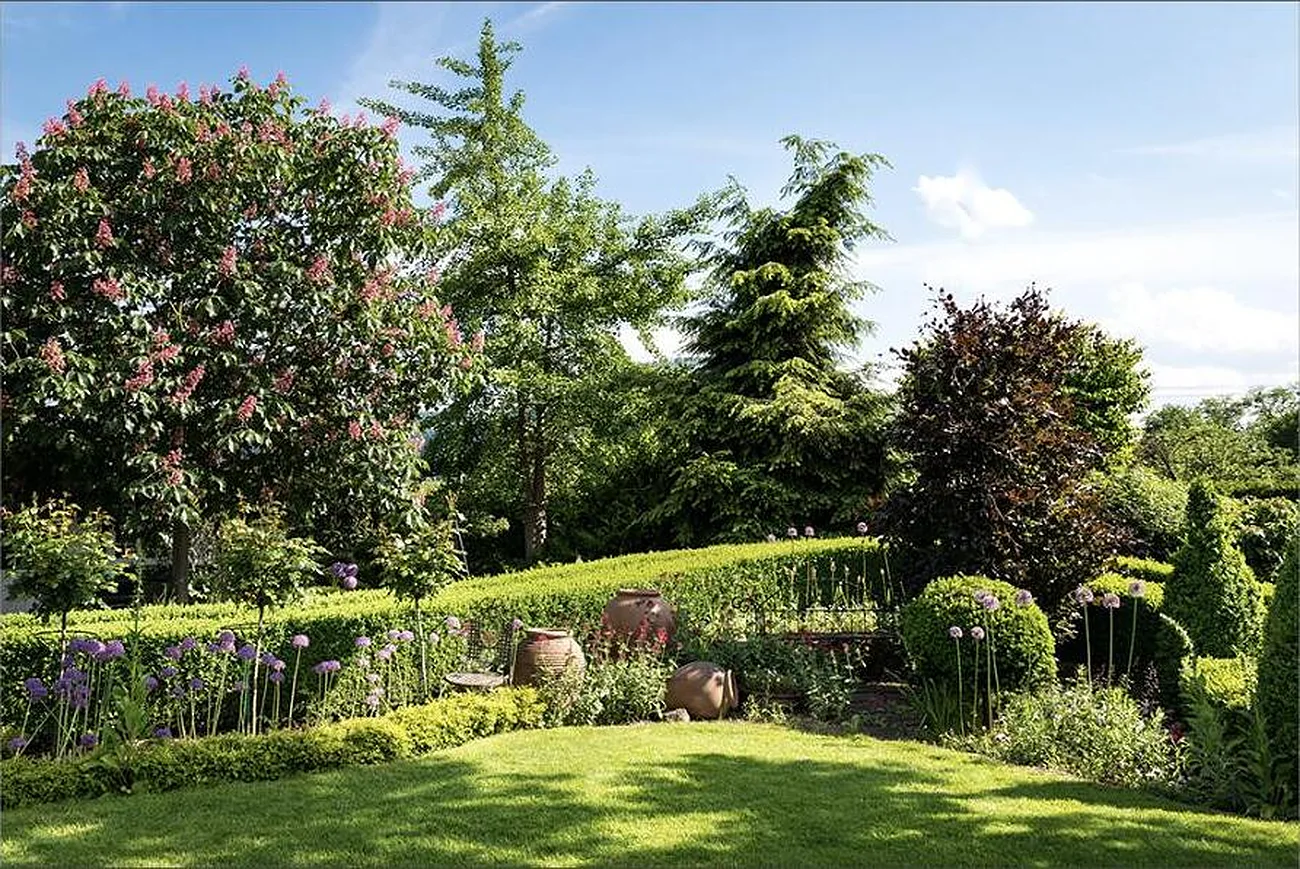 Staudengarten mit blühendem Zierlauch und Buchshecken